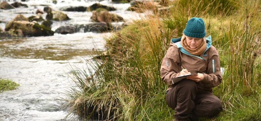 The Taw Talks with Watery Words - Barnstaple