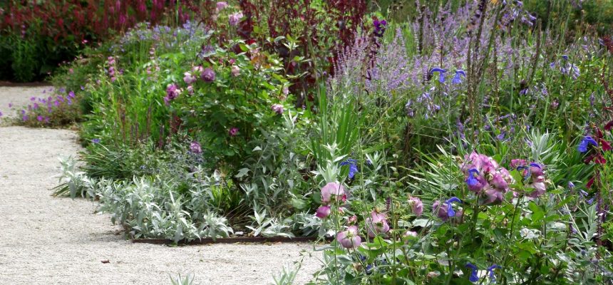 Herbaceous border Castle Drogo